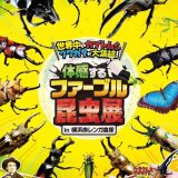【横浜赤レンガ倉庫】体感するファーブル昆虫展！ヘラクレスオオカブトに触れる大興奮体験レポ