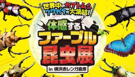 【横浜赤レンガ倉庫】体感するファーブル昆虫展！ヘラクレスオオカブトに触れる大興奮体験レポ