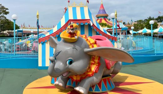 「もう疲れた…」は卒業！4歳息子と妻が「最高の思い出！」と大絶賛した、初ディズニー攻略法